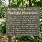 Another Way to Say Sad
